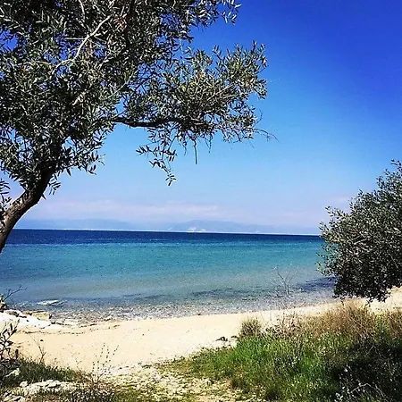 Villa Exquisite Thassos Chateau 3 Bedroom Private Pool Sea View Skala *
