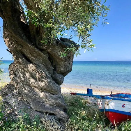 Byblos Luxury Villas Byblos Chateau Villa